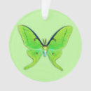 Search for luna christmas tree decorations Insects