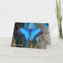 Search for morpho cards Butterfly