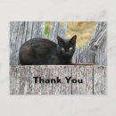 Search for black cat thank you postcards Pretty
