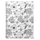 Search for ocean notebooks Black