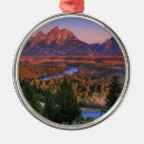 Search for jackson hole christmas tree decorations Landscape