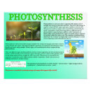 Search for photosynthesis posters Science