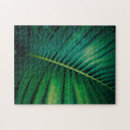 Search for tropical leaf puzzles Palm fronds