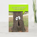Search for chuck cards Tree
