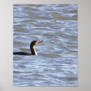 Search for double image posters Nature