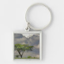 Search for thorn key rings Dark