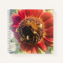 Search for better notebooks Encouragement