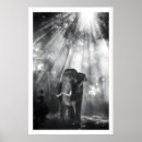 Search for minimalist nature art Mid century modern