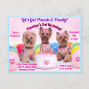Search for yorkie birthday invitations For kids