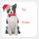 Search for collie dog stickers Cute