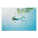 Search for frog painting posters Wildlife