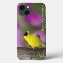 Search for sayings ipad cases Bird watching sayings