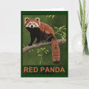 Search for red panda cards Wildlife