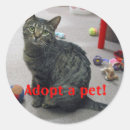 Search for adopted stickers Pet