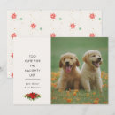 Search for pet christmas cards Minimal