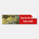 Search for ethnic bumper stickers Polish