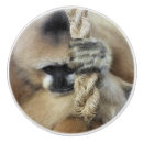 Search for monkey knobs and pulls Animals