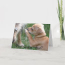 Search for guess what cards Cute