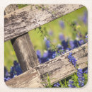 Search for bluebonnet kitchen dining Meadow