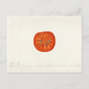 Search for vintage flower seeds postcards Fruit