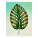 Search for yellow leafs posters Green