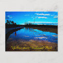 Search for yellowstone postcards Vacation