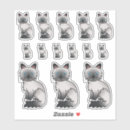 Search for ragdoll cats stickers Birman