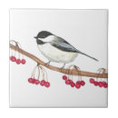 Search for wildlife tiles Nature