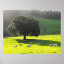 Search for december posters Landscape
