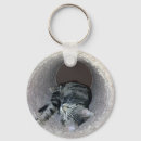 Search for sleepy cat key rings Kittens