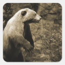 Search for bear hunting stickers Wildlife