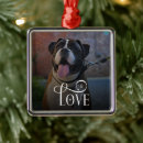 Search for canine christmas tree decorations For pets