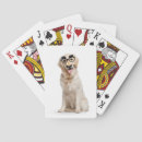 Search for funny moustache playing cards Glasses