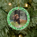 Search for hunting dog christmas tree decorations Hunter
