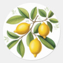Search for branches stickers Citrus