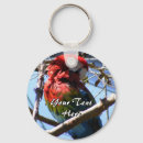 Search for red parrot key rings Pet