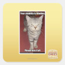 Search for blindness stickers I can has cheezburger