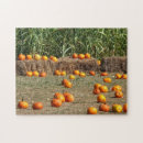 Search for corn puzzles Orange