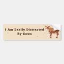 Search for cows bumper stickers Cowgirls