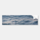 Search for blue tropical bumper stickers Water