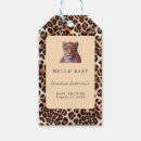 Search for tiger pattern Wild one
