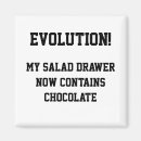 Search for evolution of magnets Fun