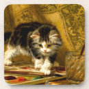 Search for play barware Cat