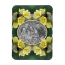Search for beetle magnets Nature