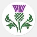 Search for scottish thistle stickers Weed