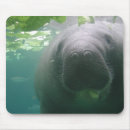 Search for manatee mousepads Animal