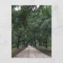 Search for dirt road postcards Forest