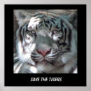 Search for save tiger posters Tigers