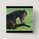 Search for grass badges Equestrian
