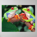 Search for callidryas posters Green